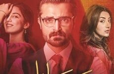 Mann Mayal