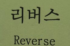 Reverse